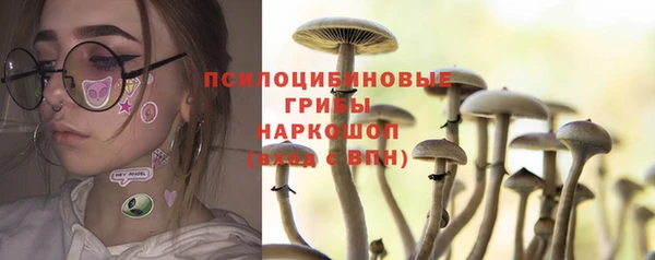 бошки Балахна