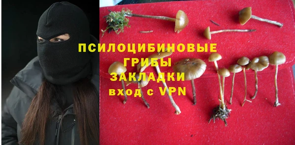 бошки Балахна