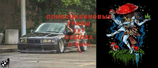 бошки Балахна