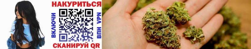 как найти закладки  Шебекино  Марихуана OG Kush 